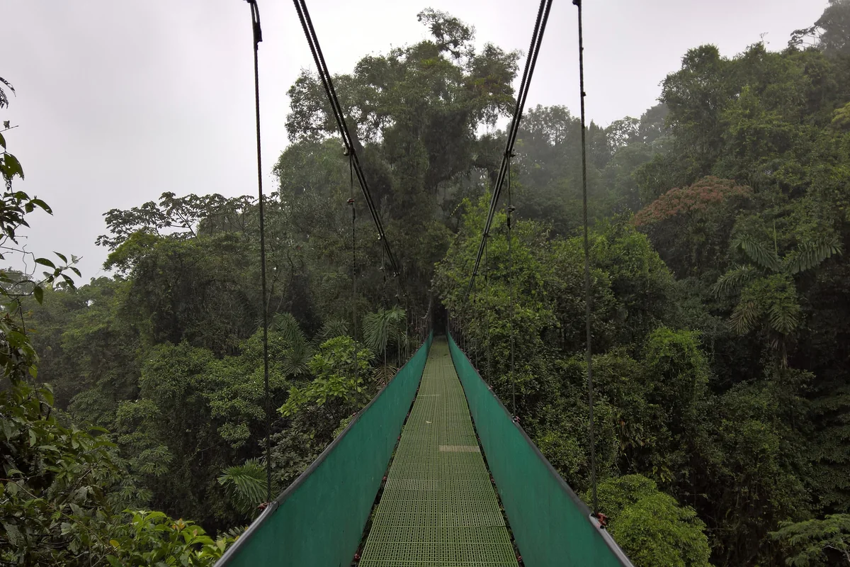 Arenal Volcano Hike, Mistico Hanging Bridges & La Fortuna Waterfall Day Tour